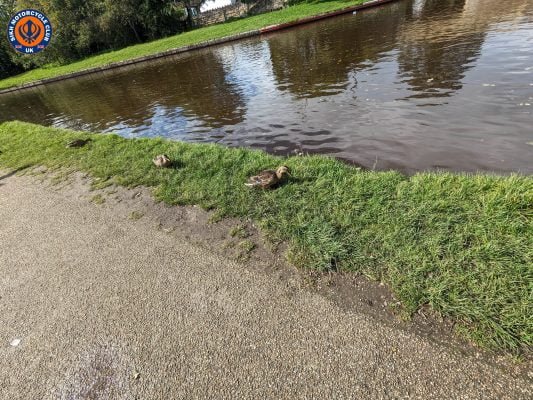 PXL 20230924 114439900